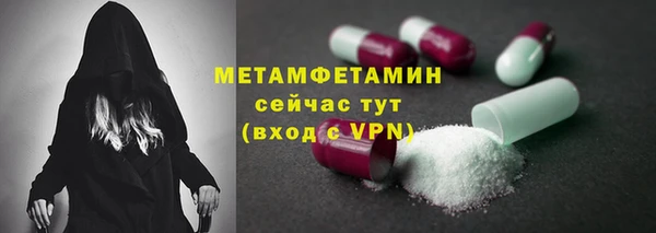 ПСИЛОЦИБИНОВЫЕ ГРИБЫ Козловка