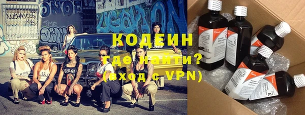ГАЛЛЮЦИНОГЕННЫЕ ГРИБЫ Кодинск