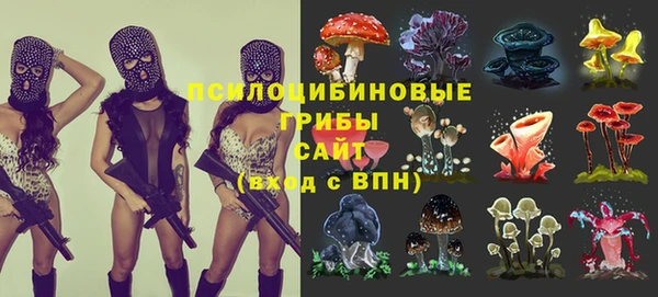 ГАЛЛЮЦИНОГЕННЫЕ ГРИБЫ Кодинск