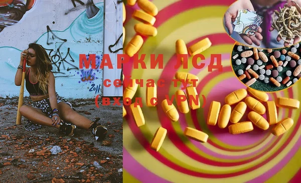 ПСИЛОЦИБИНОВЫЕ ГРИБЫ Козловка
