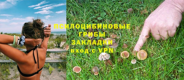 ПСИЛОЦИБИНОВЫЕ ГРИБЫ Козловка