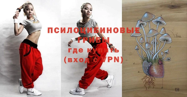 ГАЛЛЮЦИНОГЕННЫЕ ГРИБЫ Кодинск