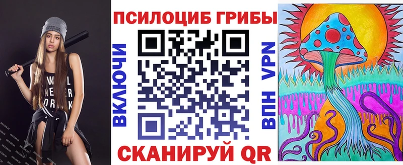Купить где  Михайловск  Галлюциногенные грибы Psilocybine cubensis 